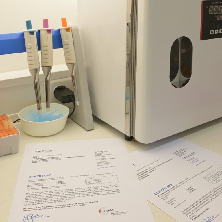 Praxis Detail Torso